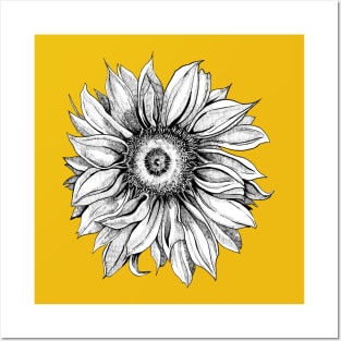 Ink - Sunflower Posters and Art